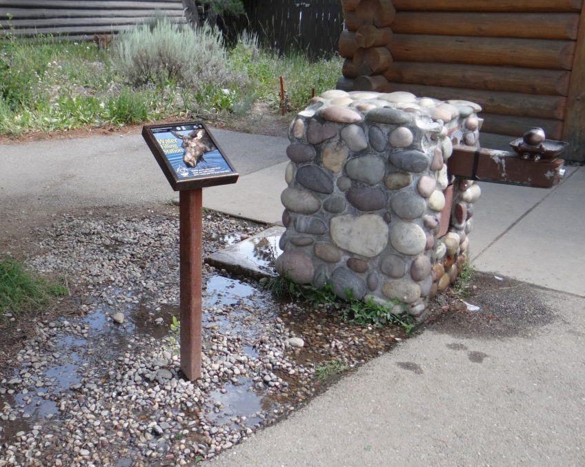 Marie-Anne Germaine : Water Filling Station. S’inspirer des fontaines d’eau potable des grands parcs américains
