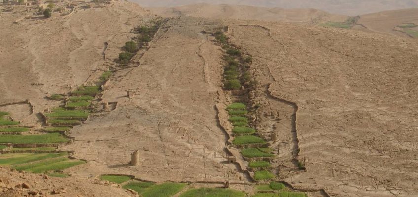 La phot’Eau insolite de la semaine : « Irrigated terraces along steep wadi »