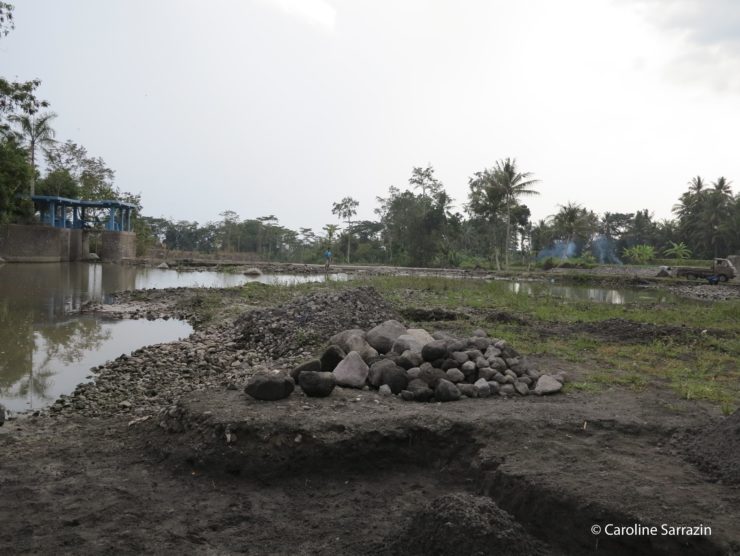 le serpent le plus dangereux du monde entier