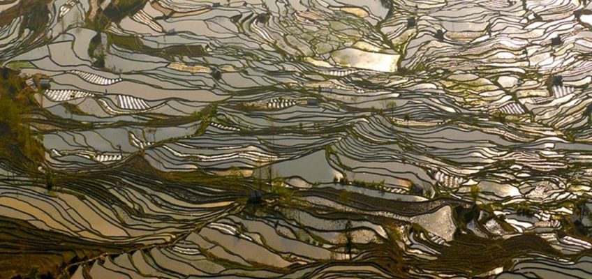 Phot’eau insolite de la semaine : Terraced paddy-fields, Yunan, China