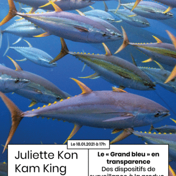 2ème Apér-EAU scientifique, 18 janvier 2020, 17h : « Le « Grand bleu » en transparence : des dispositifs de surveillance à la production de connaissance sur les pêcheries thonières dans le Pacifique » par Juliette Kon Kam King