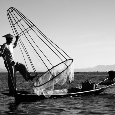 Jean-Louis Gonin - Pas tomber dans la nasse - Lac Inlé (Birmanie), 2018 - Les Inthas ont mis au point une manière de ramer particulière, debout, avec un seul pied, ce qui leur permet de voir dans la profondeur du lac et d'utiliser leurs mains pour pêcher. Ils ont également développé des techniques de pêche inédites, en rapport avec les caractéristiques du lac. La plus ancienne utilise un filet en coton. Ce filet est tendu sur une armature en bambou conique ; l'ensemble est appelé « saung ». Cette méthode de pêche nécessite de repérer visuellement le poisson avant de plonger le filet pour le cerner, puis le harponner à l'aide d'une perche terminée par un trident. Cette tradition est en train de disparaître car l'eau du lac est de plus en plus trouble à cause du brassage provoqué par les bateaux transportant les touristes. Par ailleurs, les poissons n'ont plus le temps de grossir car ils sont capturés avant par les pêcheurs de plus en plus nombreux. Elle est souvent remplacée par la mise en place de grands filets en matière synthétique. Les pêcheurs donnent ensuite des coups de rames sur la surface de l'eau afin de chasser le poisson en direction des filets, où les prises sont beaucoup plus importantes. Les pêcheurs utilisent leurs deux mains pour faire glisser le filet au fond de l'eau tout en ramant avec une jambe et étant en équilibre sur l’autre. L'apparition de grossistes qui alimentent les grandes villes de la région a fait augmenter la demande. Pour y répondre, les Inthas se mettent à pêcher sans prendre en compte les ressources du lac déjà impactées par la pollution. Ce nombre de pêcheurs en constante augmentation, participe à la disparition de certaines espèces de poissons, notamment les espèces endémiques, et à la baisse des prises. Le nombre de pêcheurs a doublé en 10 ans et le résultat de leur pêche a diminué de moitié. Pour compenser cela, une nouvelle espèce a été introduite récemment : le tilapia, qui se reproduit rapidement mais qui risque de bouleverser la biodiversité du lac. Les pêcheurs, pour survivre, sont contraints d'augmenter la durée de leur journée de travail. C'est ainsi que le cercle vicieux qui va entraîner la disparition des poissons dans le lac Inlé est bouclé.