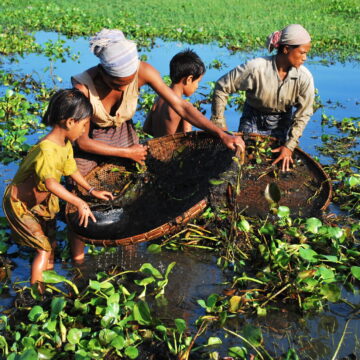 POLLEN 2026: ResEaux is organising the panel « Rivers, Power, and Resistance: Political Ecology and Transformative Water Governance in South Asia » 
